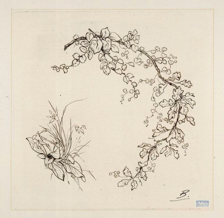 Art Print : 1866, [Feuille de chAne.] - Vintage Wall Art
