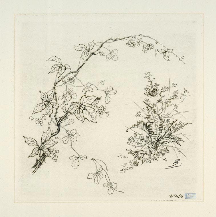 Art Print : 1866, [Ronce.] - Vintage Wall Art