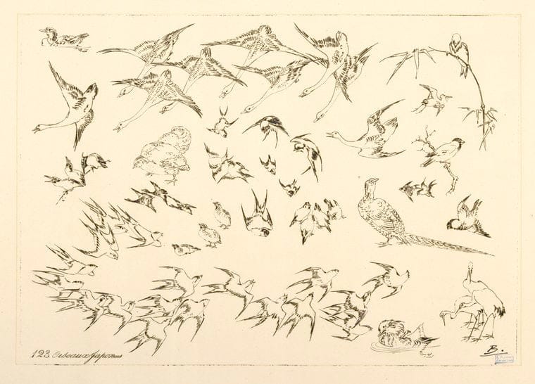 Art Print : 1866, Oiseaux japonais. - Vintage Wall Art