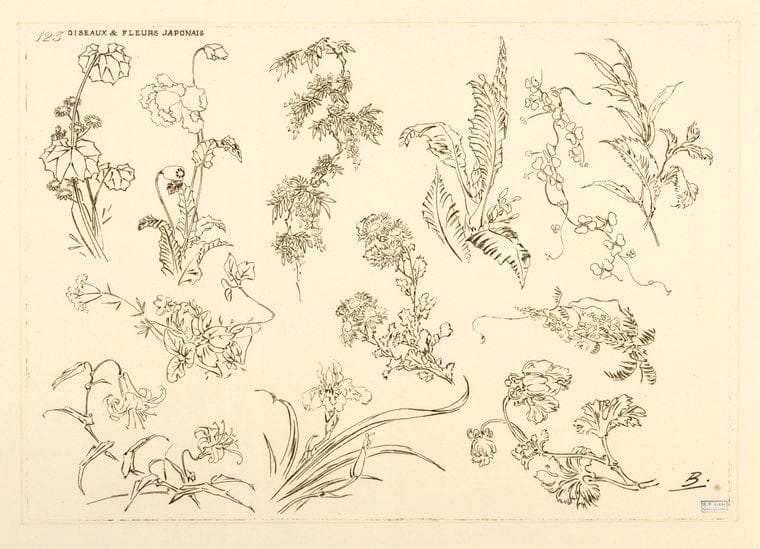 Art Print : 1866, Oiseaux et Fleurs japonais. - Vintage Wall Art V1