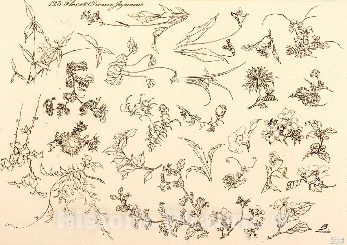 Art Print : 1866, Fleurs et oiseaux japonais. - Vintage Wall Art V3