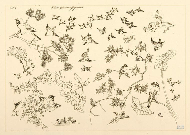 Art Print : 1866, Fleurs et oiseaux japonais. - Vintage Wall Art V2