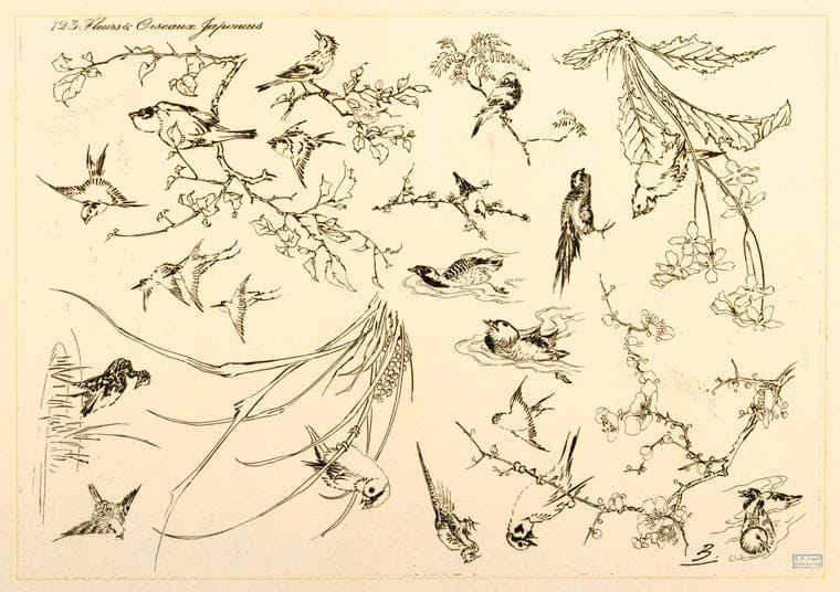 Art Print : 1866, Fleurs et oiseaux japonais. - Vintage Wall Art V1