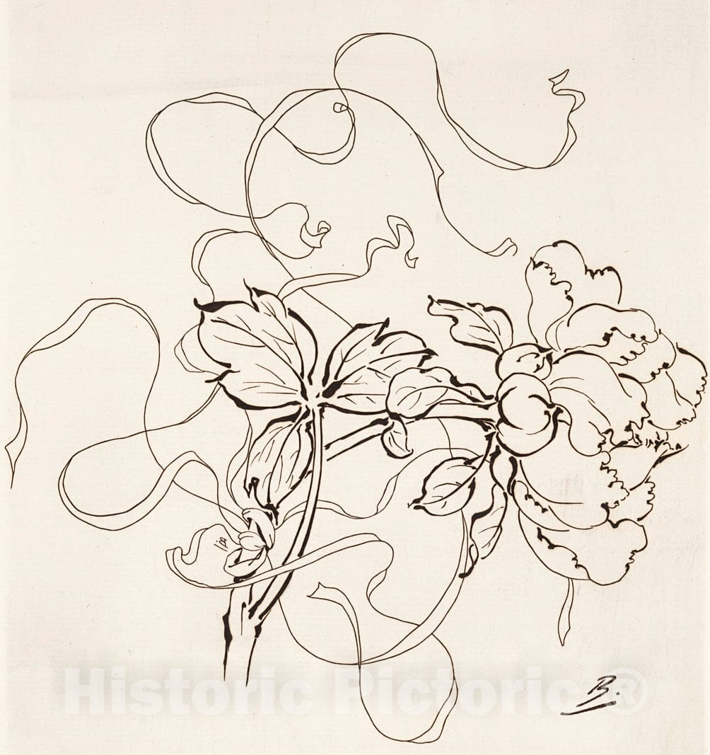 Art Print : 1866, [Assiette] (pivoine). - Vintage Wall Art