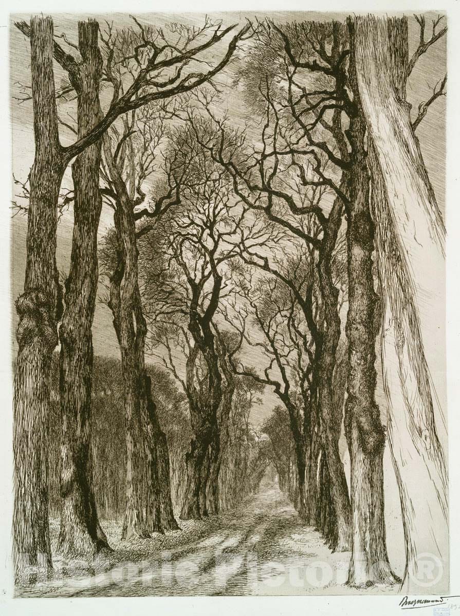 Art Print : 1894, Une Allee du PARC de Saint-Cloud en Hiver. - Vintage Wall Art