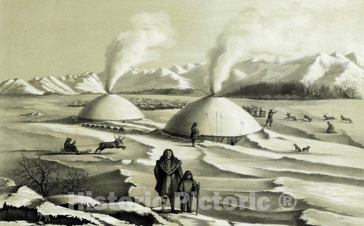 Art Print : 1856, Stoibishche olennykh koriak. - Vintage Wall Art