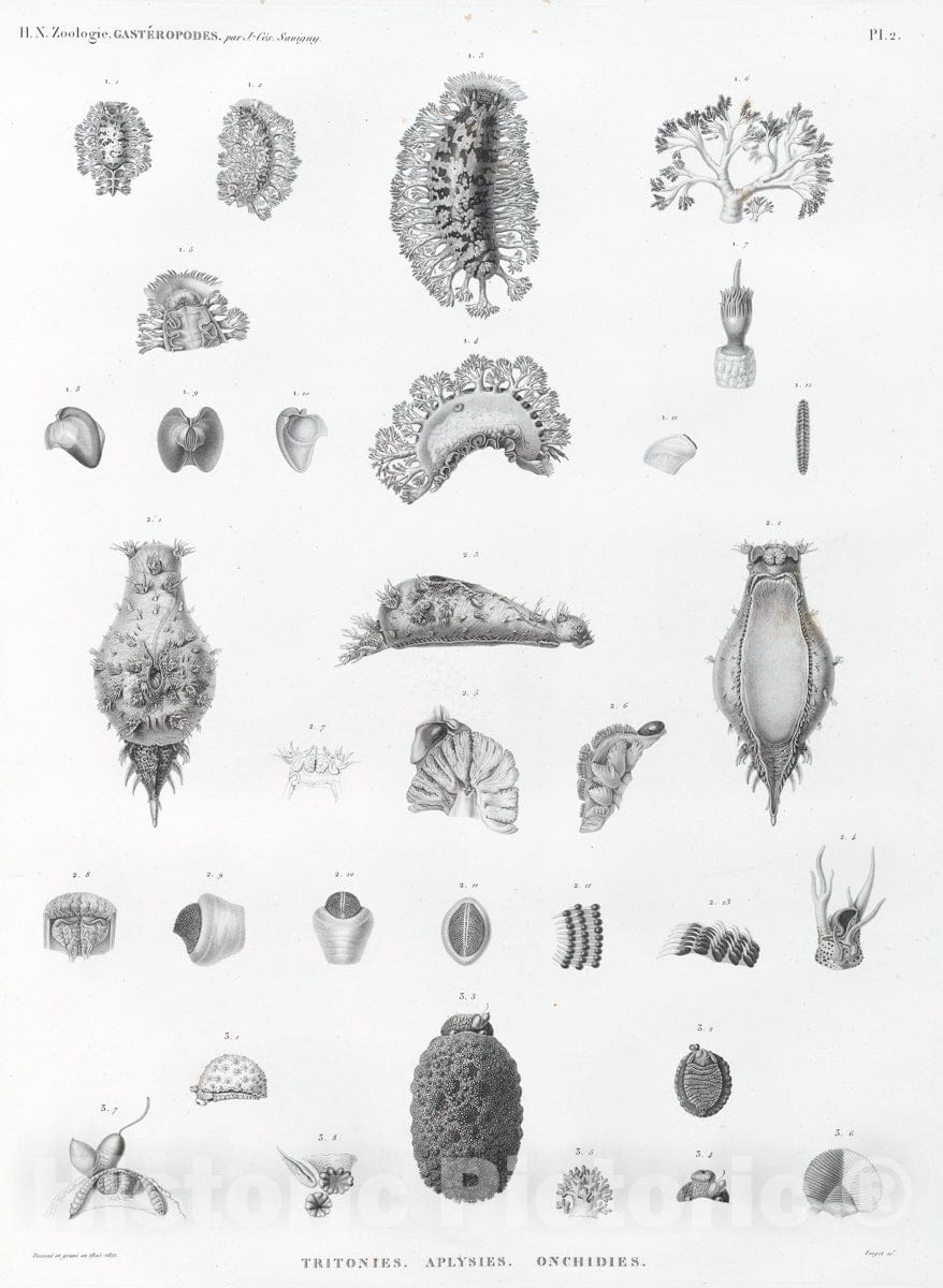 Dragable Image