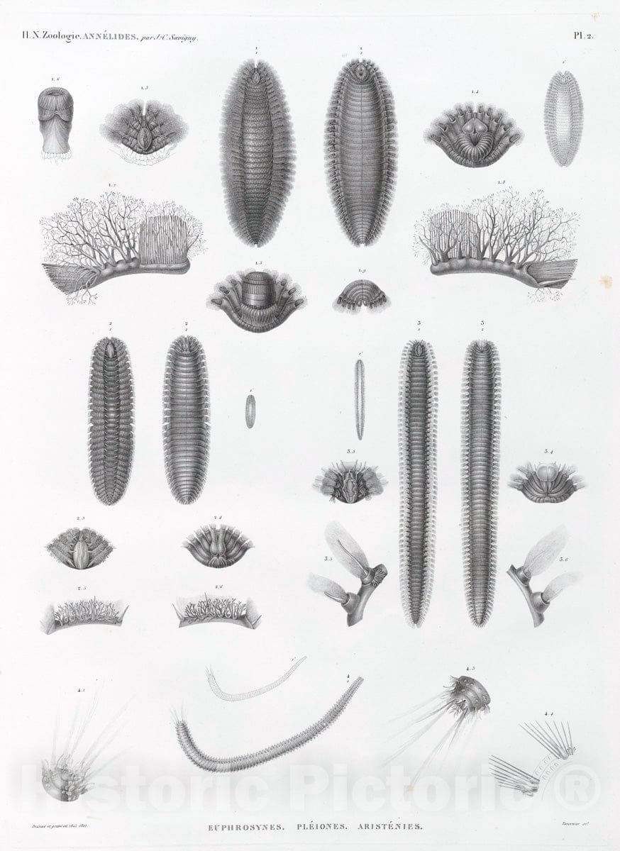 Dragable Image