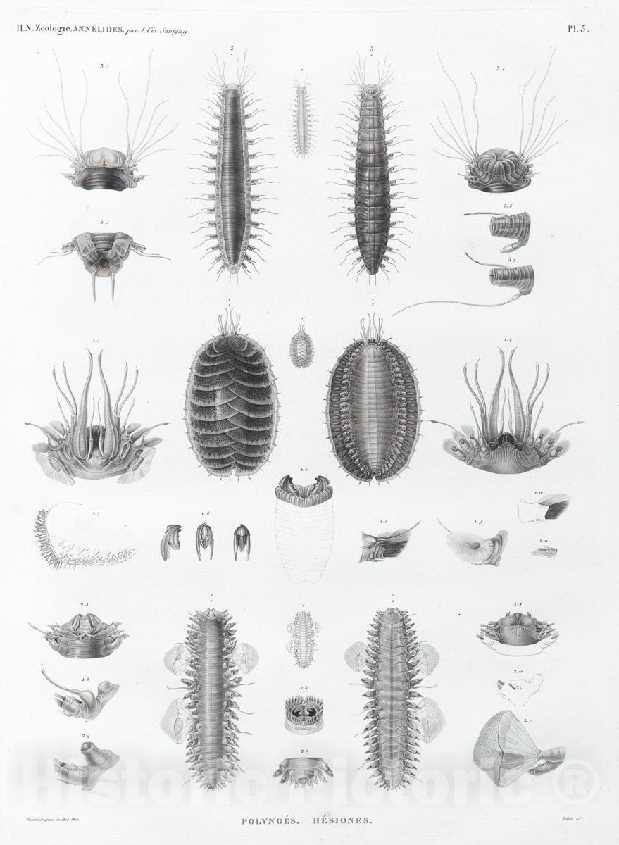 Dragable Image