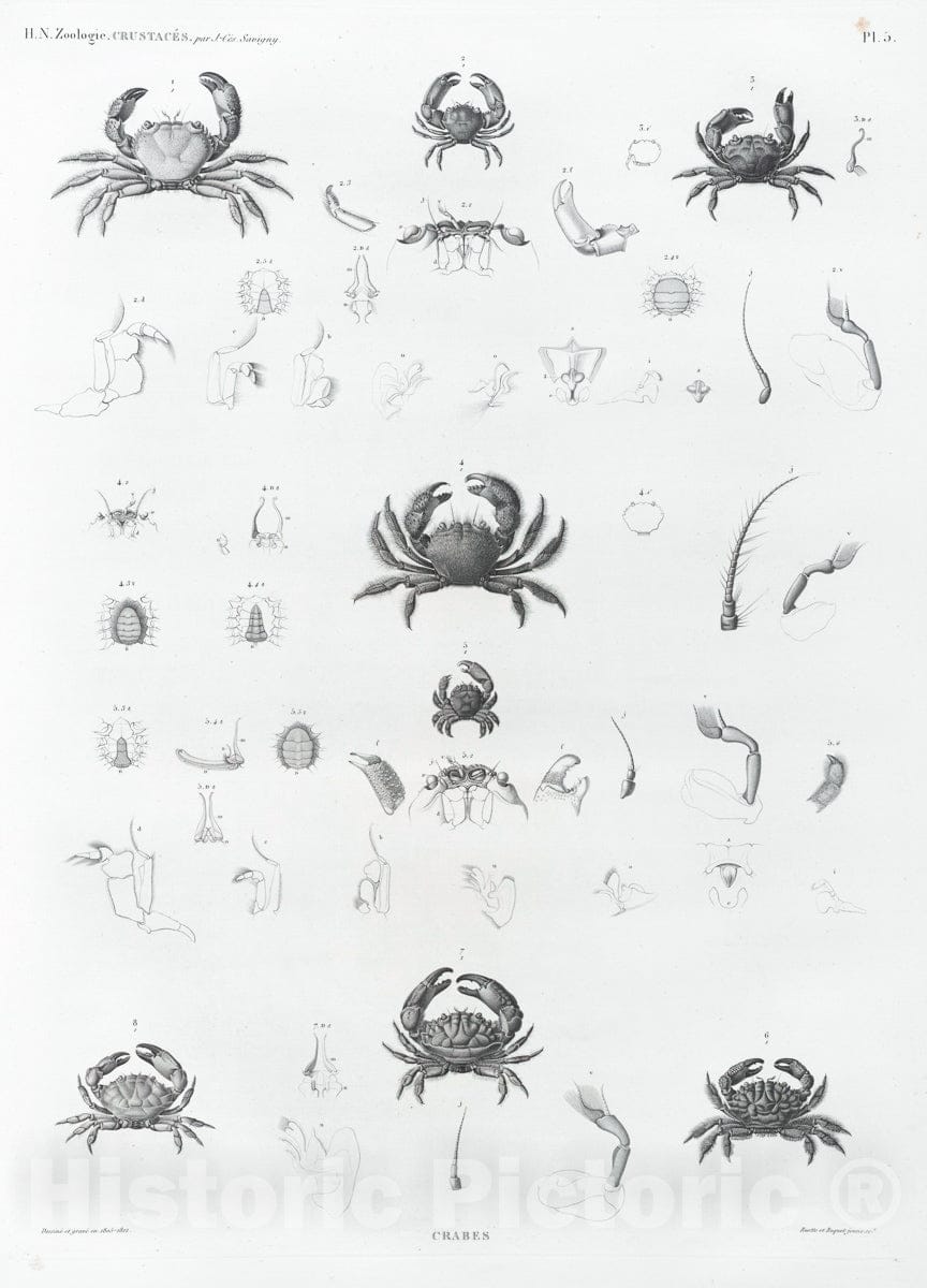 Dragable Image