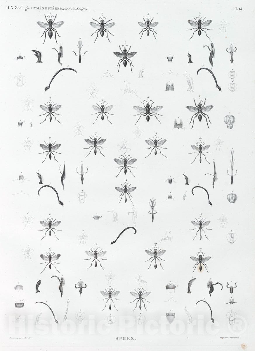 Dragable Image