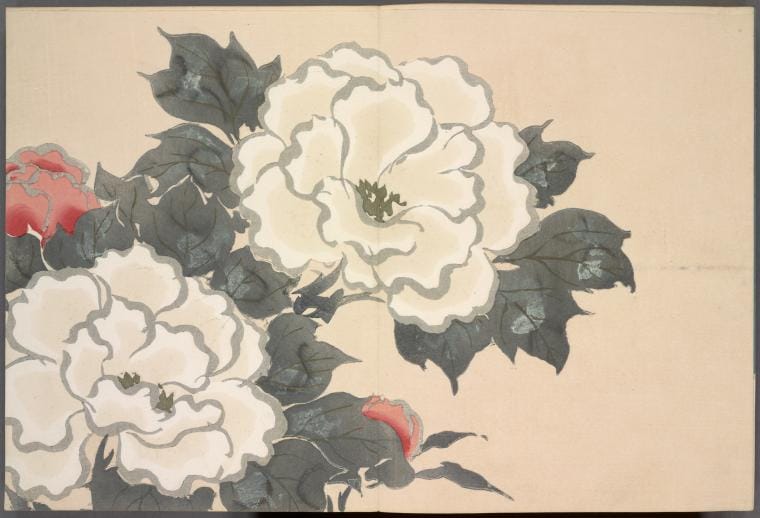 Art Print : Momoyogusa = Flowers of a Hundred Generations, 1866 - Vintage Wall Art V3