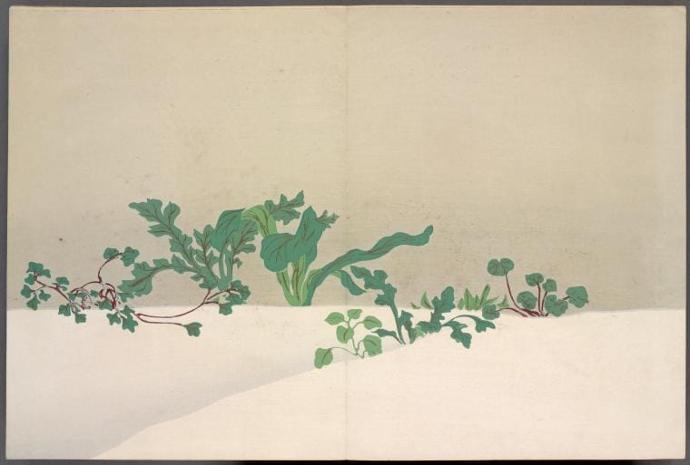 Art Print : Green Plants, 1866 - Vintage Wall Art