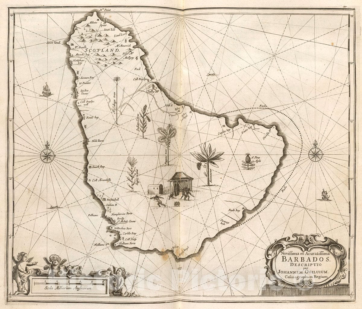 Art Print : 1671, Novissima et Acuratissima Barbados. Descriptio per Johannem Ogiluium Cosmographum Regium - Vintage Wall Art