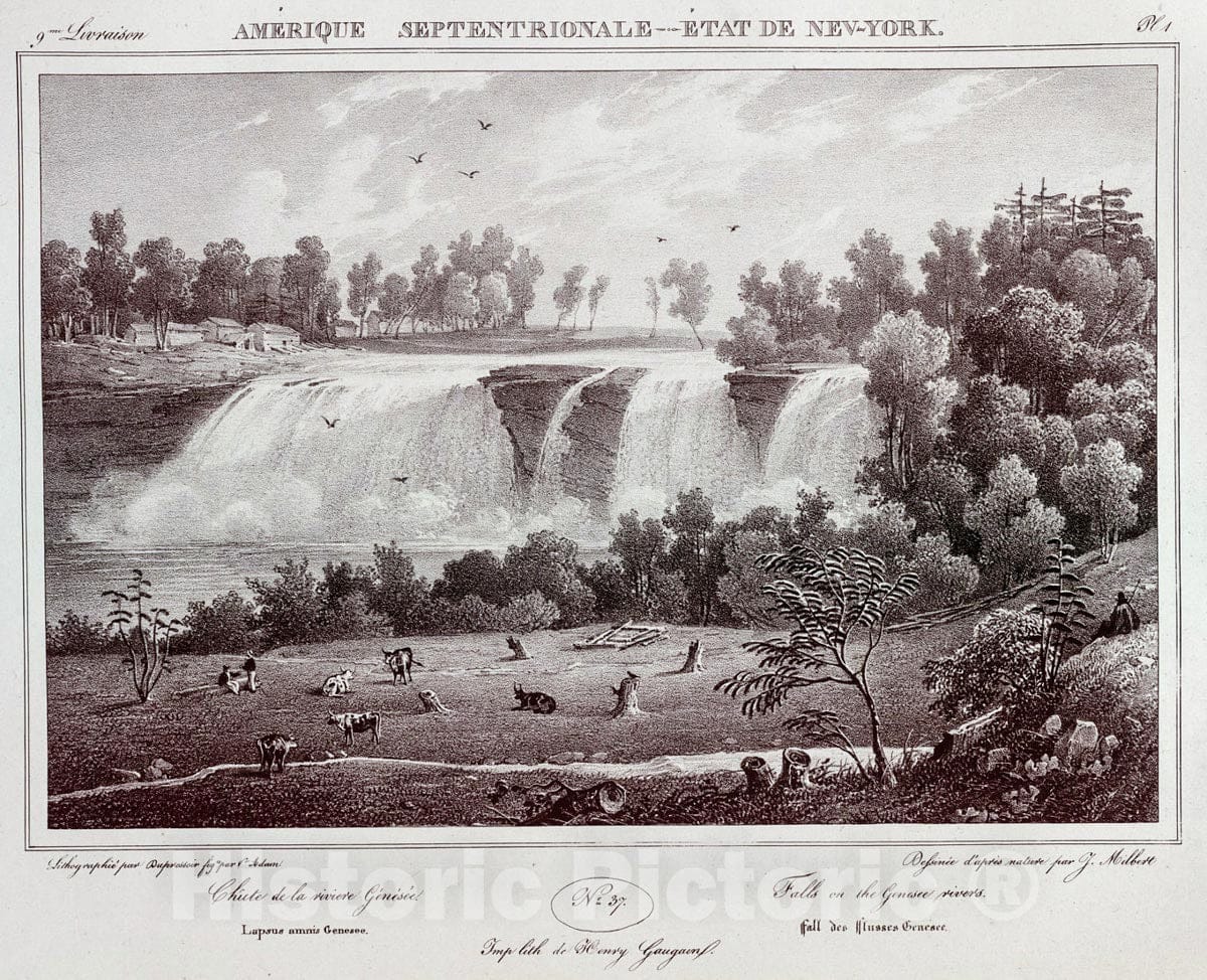 Art Print : 1828, Falls in The Genesee Rivers. - Vintage Wall Art