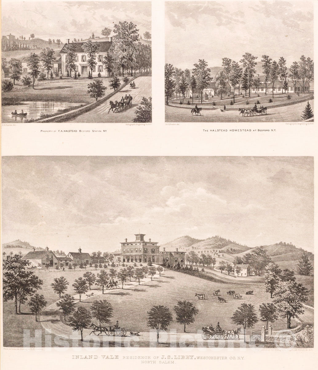 Art Print : 1868, Property of F.A. Halstead, Bedford Station, N.Y. - The Halstead Homestead - Vintage Wall Art