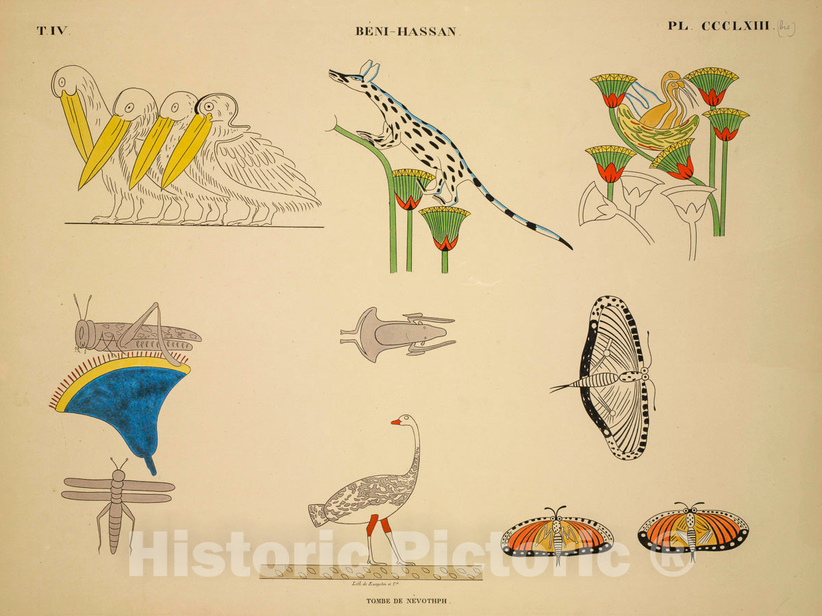 Art Print : 1845, Beni-Hassan el-Qadim [Beni Hasan]. Tombe de NevAthph. - Vintage Wall Art