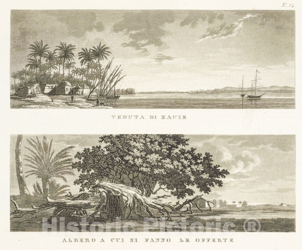 Art Print : 1835, Veduta di Zauie; Albero a cui si fanno le offerte. - Vintage Wall Art
