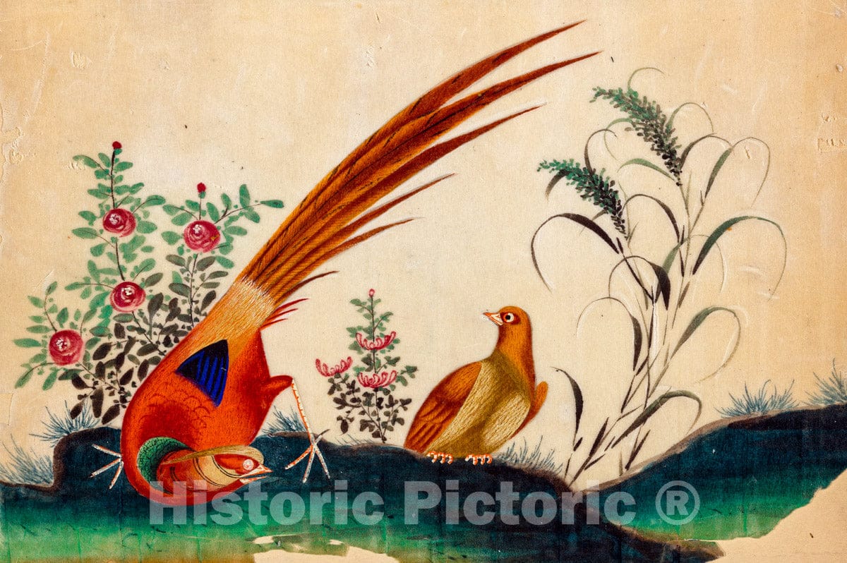 Art Print : Two Birds, Flowers. - Vintage Wall Art