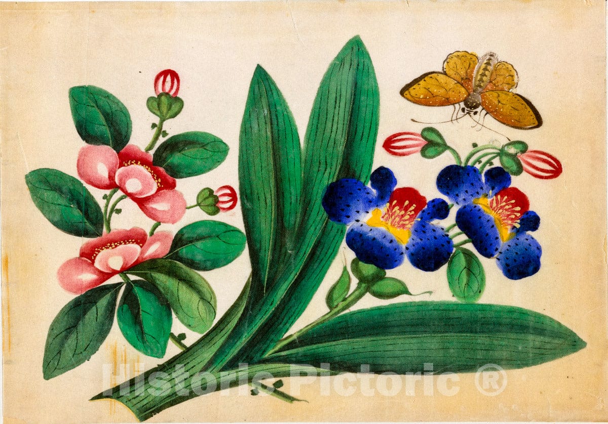 Art Print : Flowers and Butterfly. - Vintage Wall Art V1