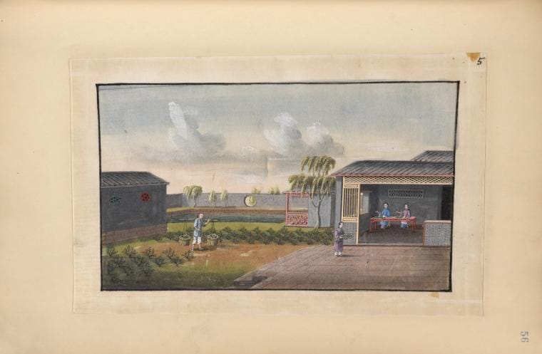 Art Print : 1850, Man Carrying Baskets of Tea from Garden to House. - Vintage Wall Art
