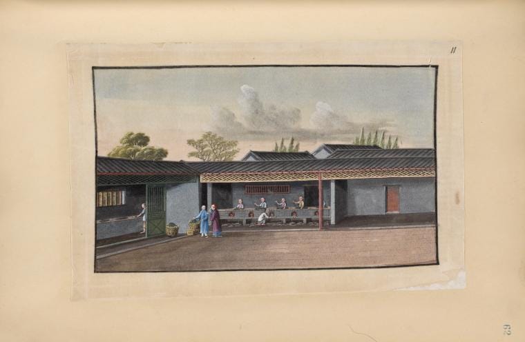 Art Print : 1850, People Drying Tea Over Small Brick-Oven Fires. - Vintage Wall Art