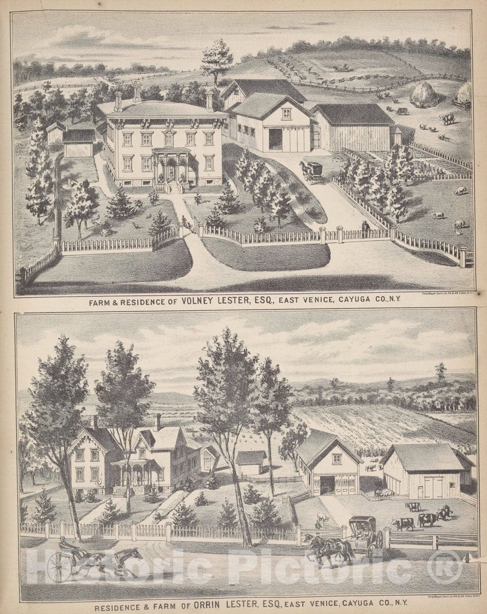Art Print : Farm & Residence of Volney Lester, ESQ, East Venice, Cayuga Co, N.Y; East Venice, Cayuga Co, N.Y. - Vintage Wall -