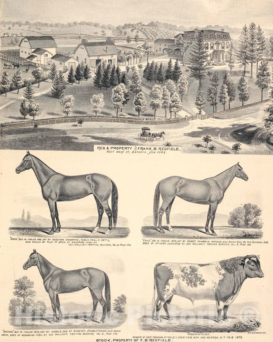 Art Print : 1876, Res. & Property of Frank B. Redfield, West Main St, Batavia, New York. - Vintage Wall Art
