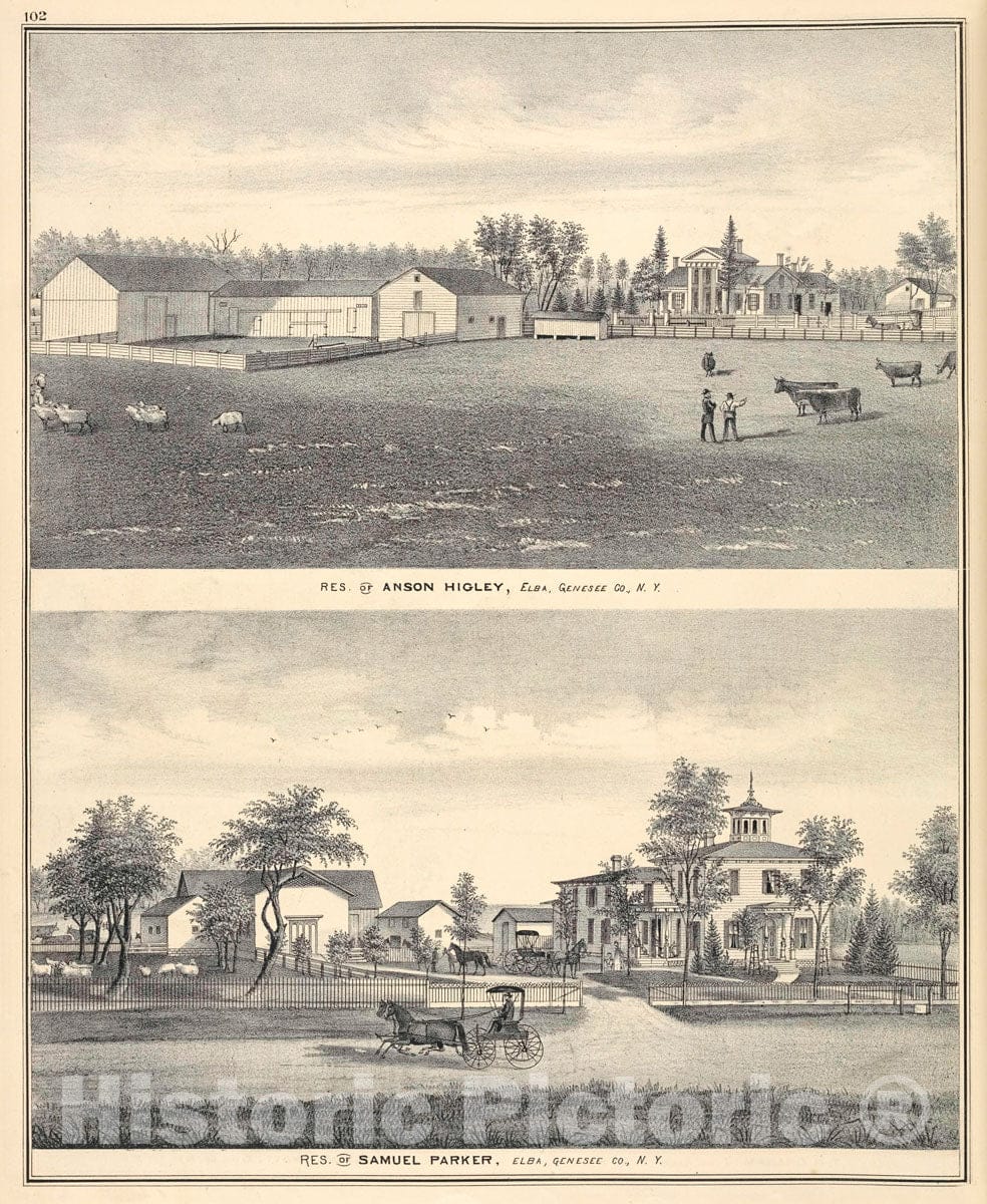 Art Print : 1876, Res. of Anson Higley, Elba, Genesee Co, N.Y; Res. of Samuel Parker, Elba, Genesee Co, N.Y. - Vintage Wall Art
