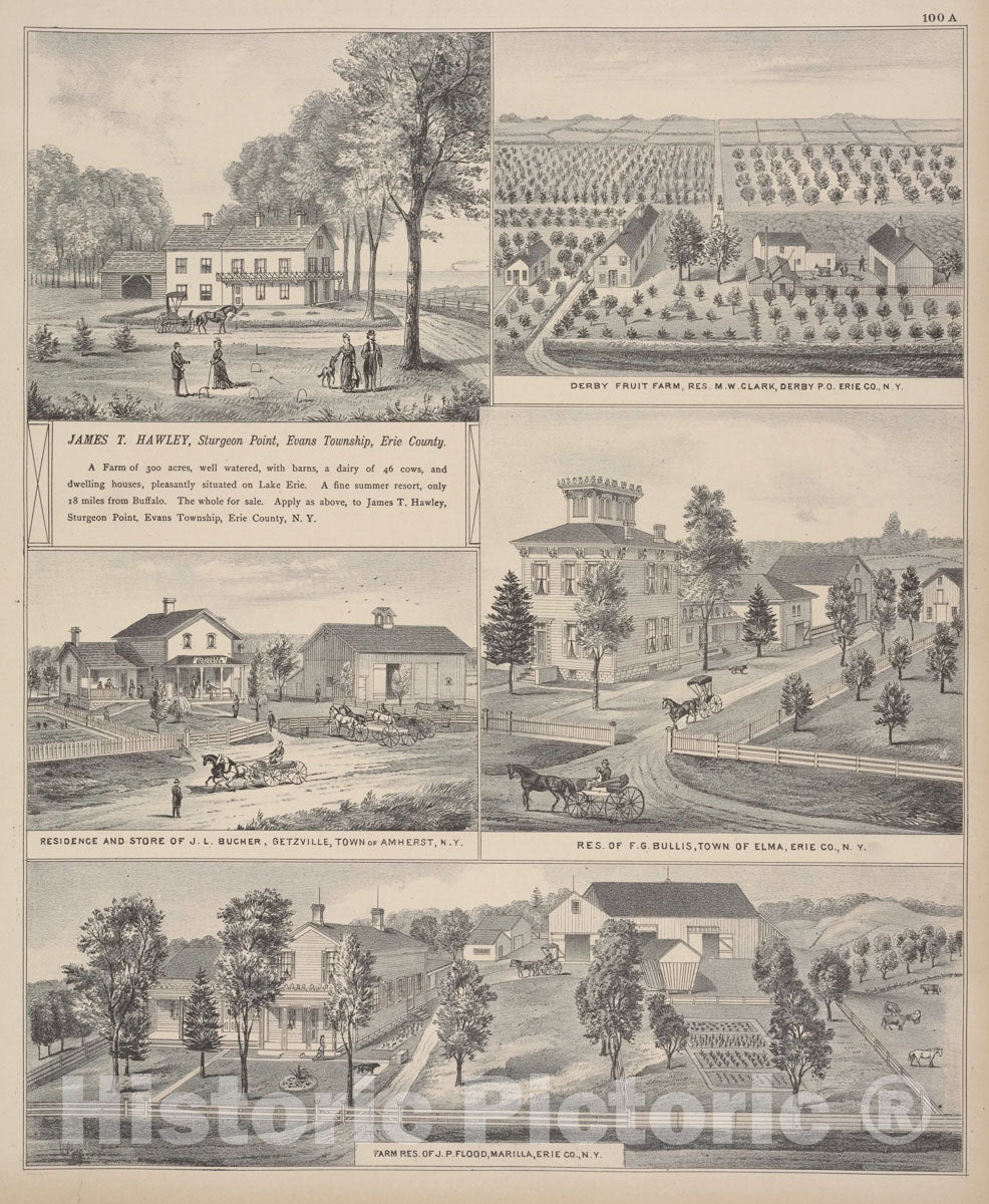 Art Print : 1880, James T. Hawley, Sturgeon Point, Evans Township, Erie County - Vintage Wall Art