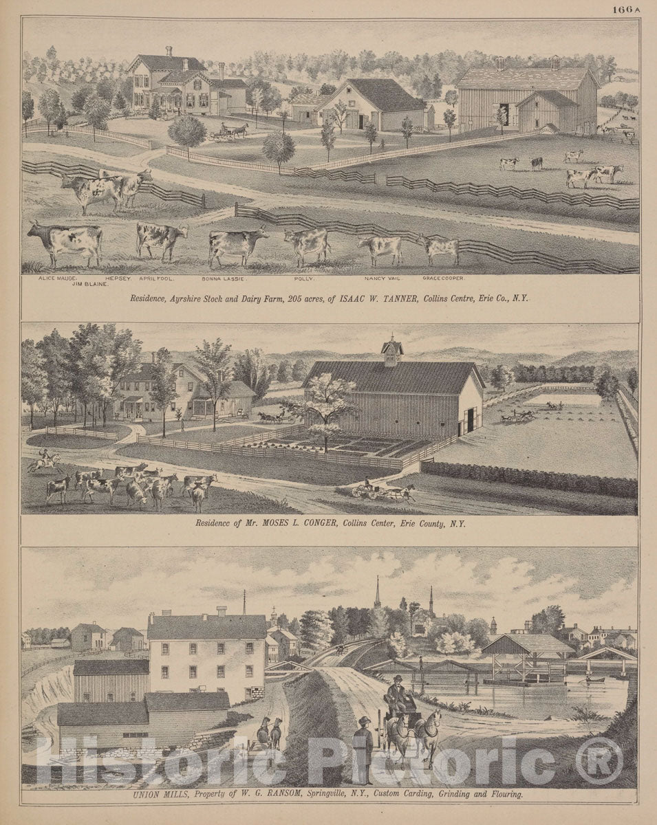 Art Print : 1880, Residence, Ayrshire Stock and Dairy Farm, 205 Acres, of Isaac W. Tanner, Collins - Vintage Wall Art