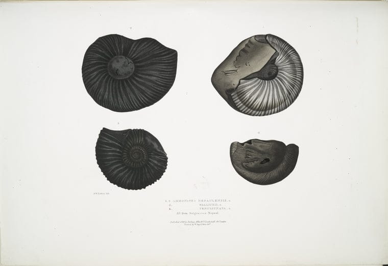 Dragable Image