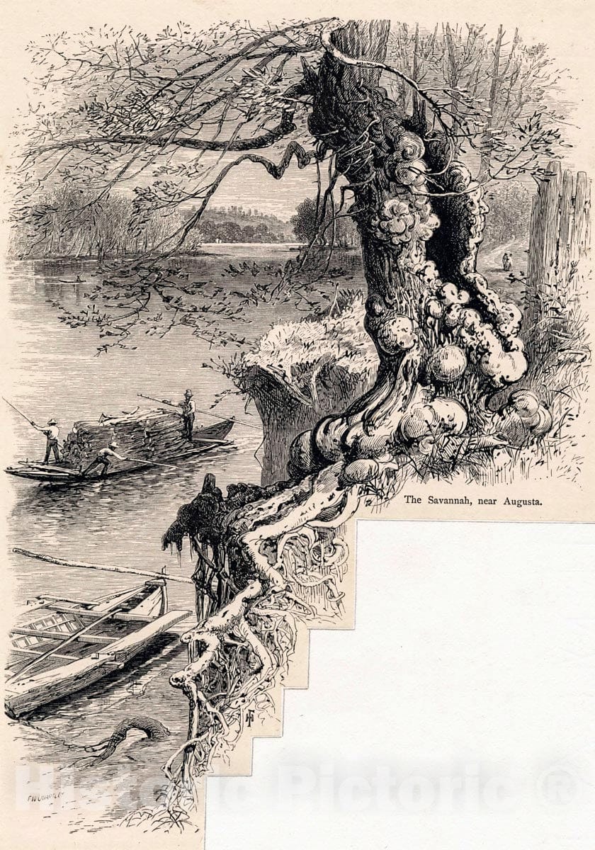 Art Print : 1778, The Savannah, Near Augusta - Vintage Wall Art, v2