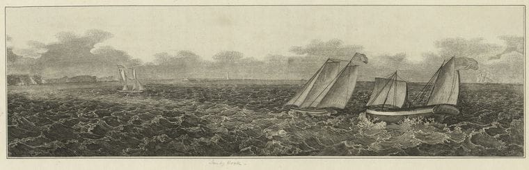 Art Print : [Sandy Hook.] - Vintage Wall Art