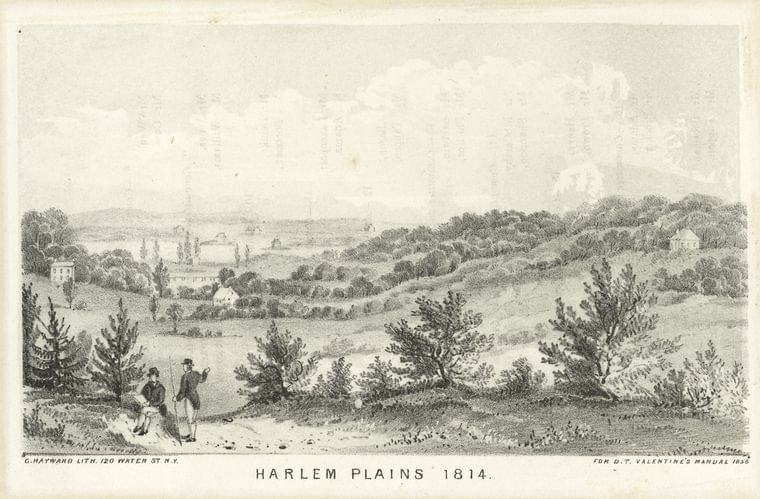 Art Print : Harlem Plains 1814 - Vintage Wall Art