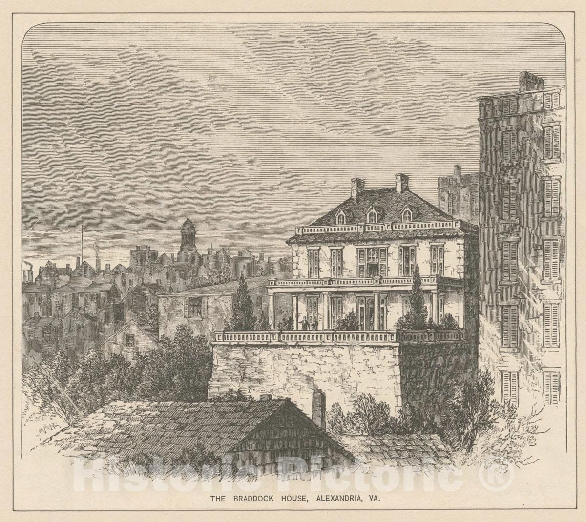Art Print : The Box Tree, 1739 - Vintage Wall Art