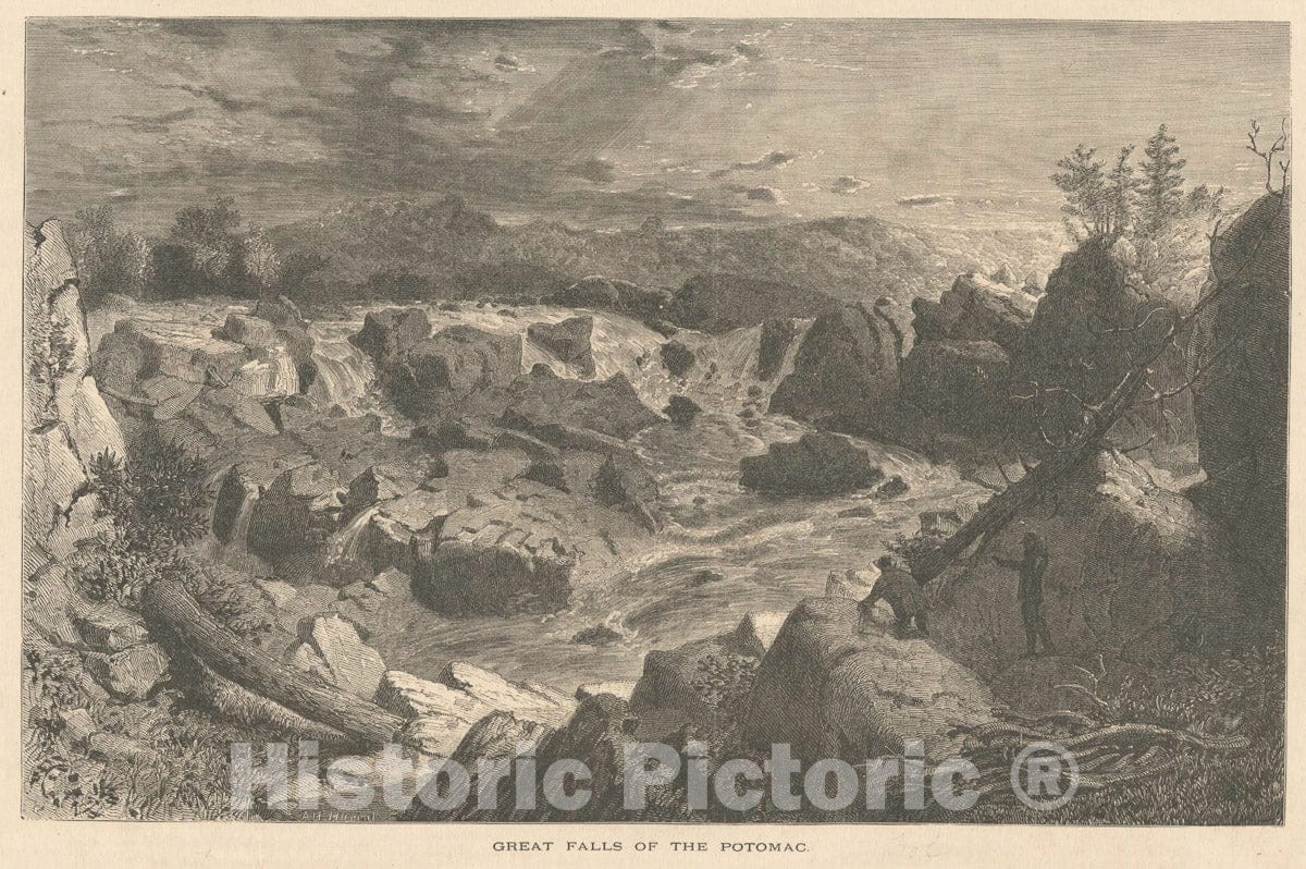 Art Print : Great centory, 1739 - Vintage Wall Art