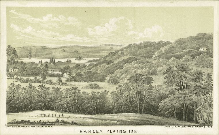 Art Print : c.1760 , Harlem Plains 1812 - Vintage Wall Art