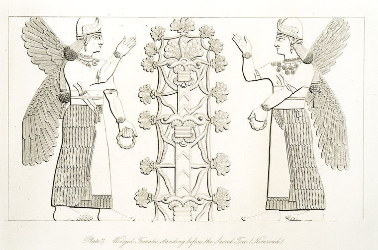 Art Print : 1849, Winged Females Standing Before The Sacred Tree. (Nimroud) [Calah] - Vintage Wall Art