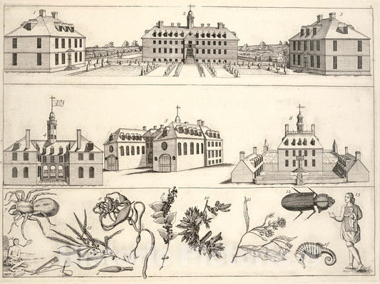 Art Print : View of William and Mary College, Williamsburg, Virginia. - Vintage Wall Art