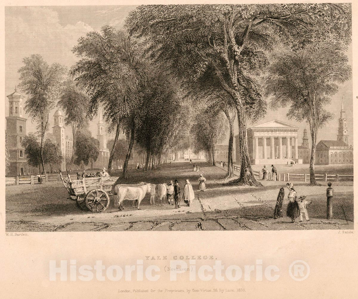 Art Print : 1838, Yale College. (Newhaven.) - Vintage Wall Art