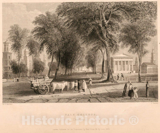 Art Print : 1838, Yale College. (Newhaven.) - Vintage Wall Art