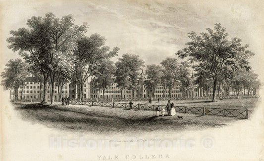 Art Print : 1858, Yale College. - Vintage Wall Art