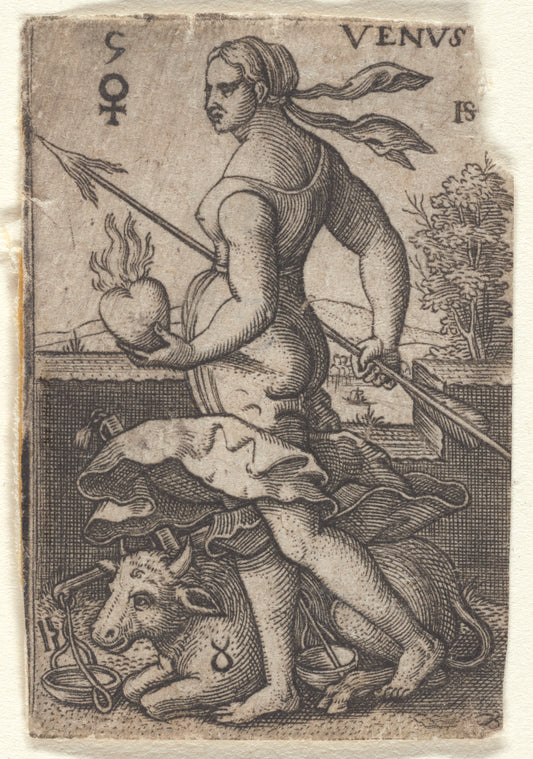 Art Print : Venus Wounded by The Rose's Thorn, 1516 - Vintage Wall Art