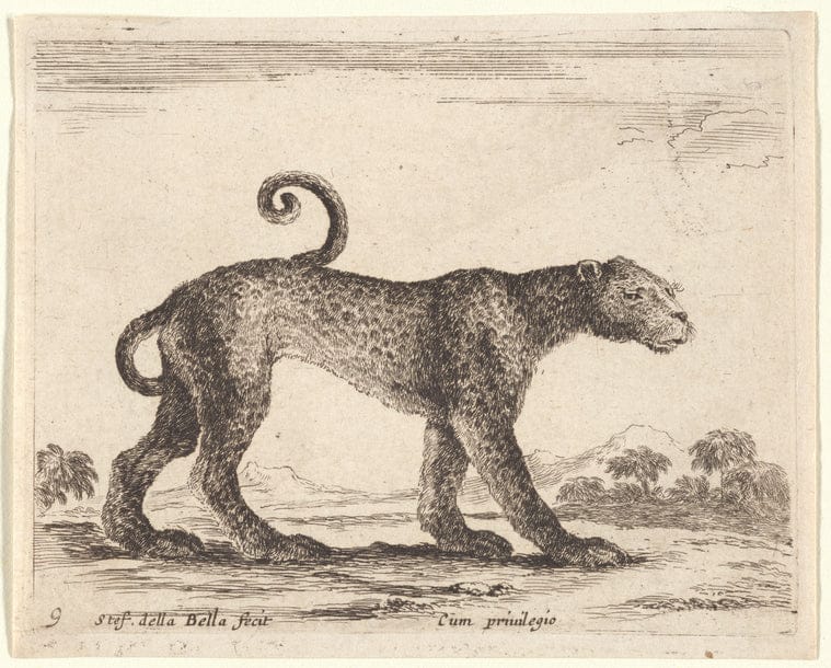 Art Print : Un Leopard Marchant vers la Droite, 1601-1700 - Vintage Wall Art