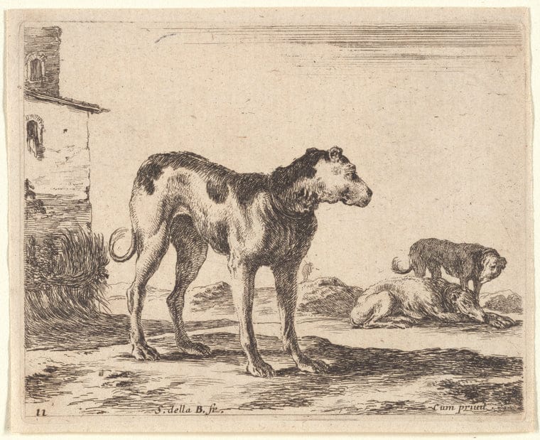 Art Print : Un Chien tourne vers la Droite, 1601-1700 - Vintage Wall Art