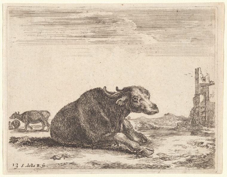 Art Print : Un Buffle couche, regardant a Droite, 1601-1700 - Vintage Wall Art