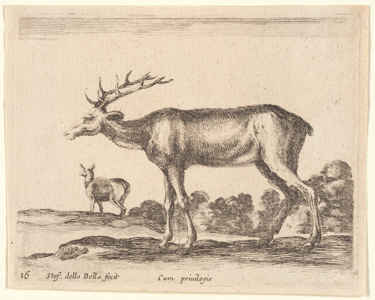 Art Print : Un cerf allant a Gauche, 1601-1700 - Vintage Wall Art