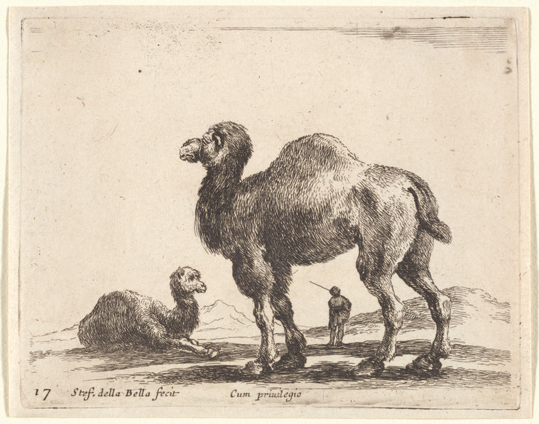 Art Print : Un Chameau allant a Gauche, 1601-1700 - Vintage Wall Art