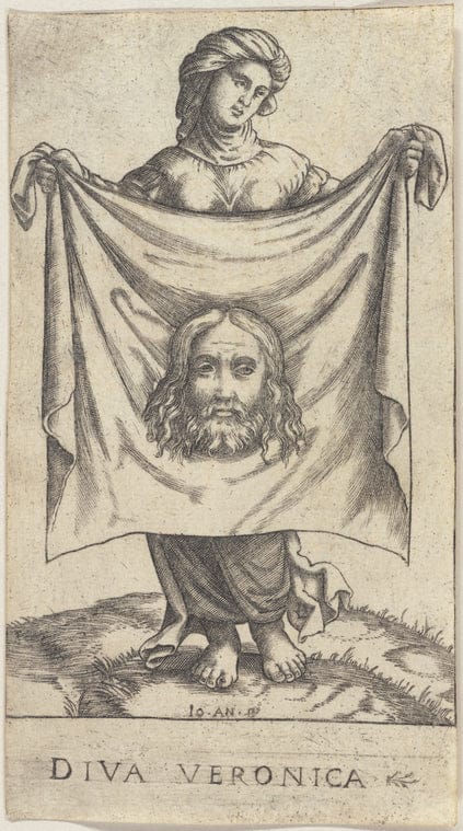 Art Print : Dittany of creet, 1739 - Vintage Wall Art
